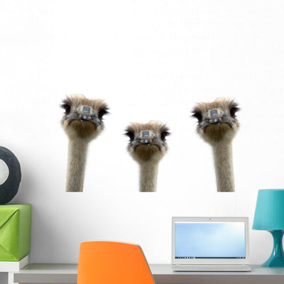 Group Ostriches Wall Decal shown on a wall
