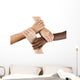 diversity series Wall Decal