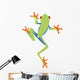Frog Decals - Red-Eyed Tree Frog Cartoon Climing Wall Decal