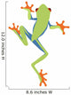 Frog Decals - Red-Eyed Tree Frog Cartoon Climing Wall Decal
