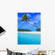 Aitutaki Palm Wall Decal
