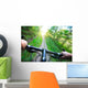 Speed on Mountain Bike Wall Mural