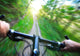 Speed on Mountain Bike Wall Mural