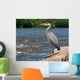 Great Blue Heron Boulder