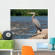 Great Blue Heron Boulder