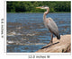 Great Blue Heron Boulder