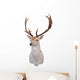 12 Point Fallow Stag Wall Decal