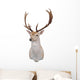 12 Point Fallow Stag Wall Decal