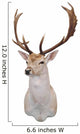 12 Point Fallow Stag Wall Decal