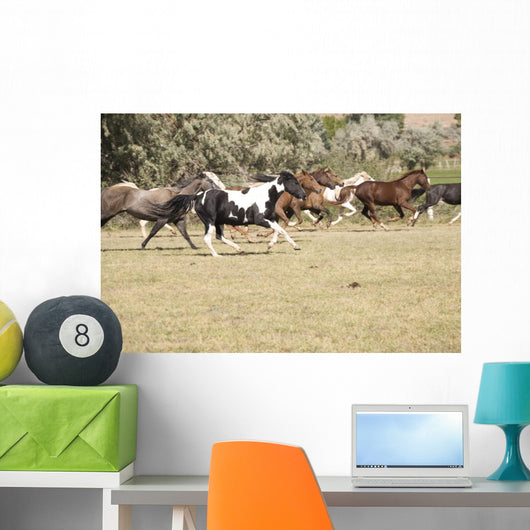 Horses Running Wall Mural