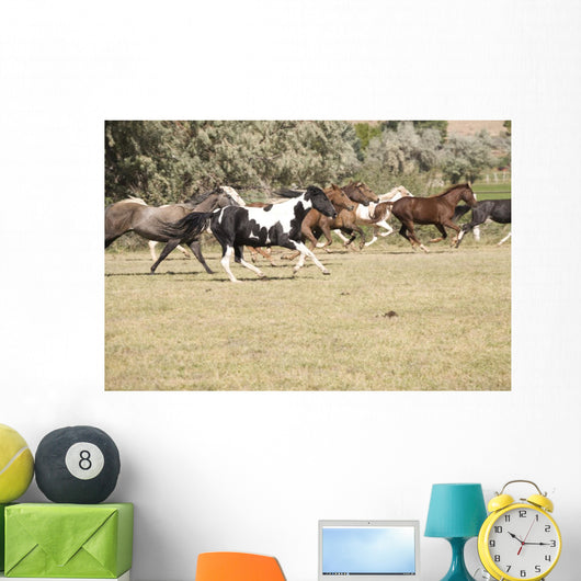 Horses Running Wall Mural