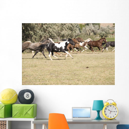 Horses Running Wall Mural