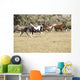 Horses Running Wall Mural