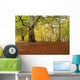 Bosque Urbasa En Otono Wall Decal