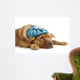 Sick Dog