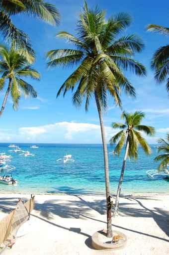Beautiful Beaches Wall Mural
