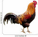 Rooster isolated Wall Decal