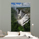 waterfall-1 Wall Mural