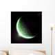 Green Planet Earth Halo Wall Mural