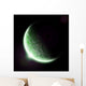 Green Planet Earth Halo Wall Mural