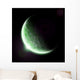 Green Planet Earth Halo Wall Mural