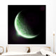 Green Planet Earth Halo Wall Mural