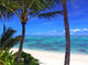Rarotonga Lagoon Wall Decal