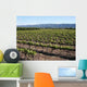 Vignoble Wall Decal
