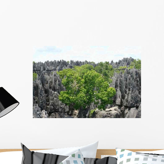 Tsingy Wall Decal Design 2