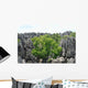 Tsingy Wall Decal Design 2