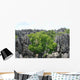 Tsingy Wall Decal Design 2
