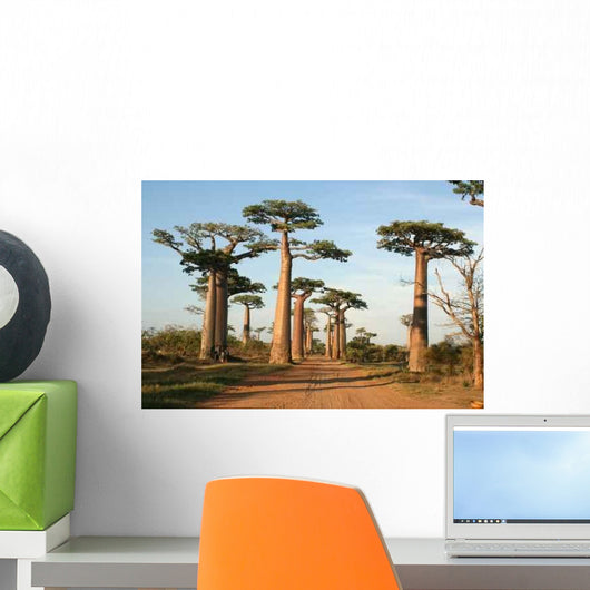 Allee Des Baobabs Wall Decal Design 2