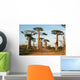 Allee Des Baobabs Wall Decal Design 2