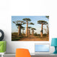 Allee Des Baobabs Wall Mural