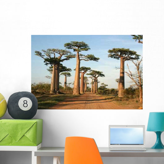 Allee Des Baobabs Wall Decal Design 2