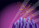 Fireworks over City Skyline-horizontal Wall Decal