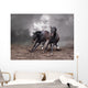 Horses of a twilight Wall Mural