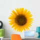 Sunflower Wall Mural