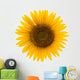 Sunflower Wall Mural