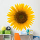 Sunflower Wall Mural