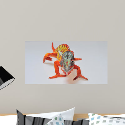 Chameleon Wall Mural shown on a wall
