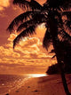 Bright Orange Palm Wall Decal