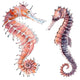 Two Watercolor Seahorses Wall Decal Sticker Set