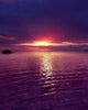 Purple Sunset Wall Decal Design 3