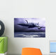Military Airplan on the Speed Wall Mural