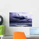 Military Airplan on the Speed Wall Mural