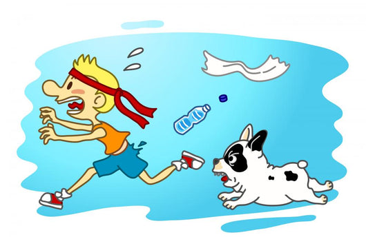 Dog Attack