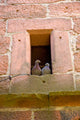 Two Doves Church Steeple