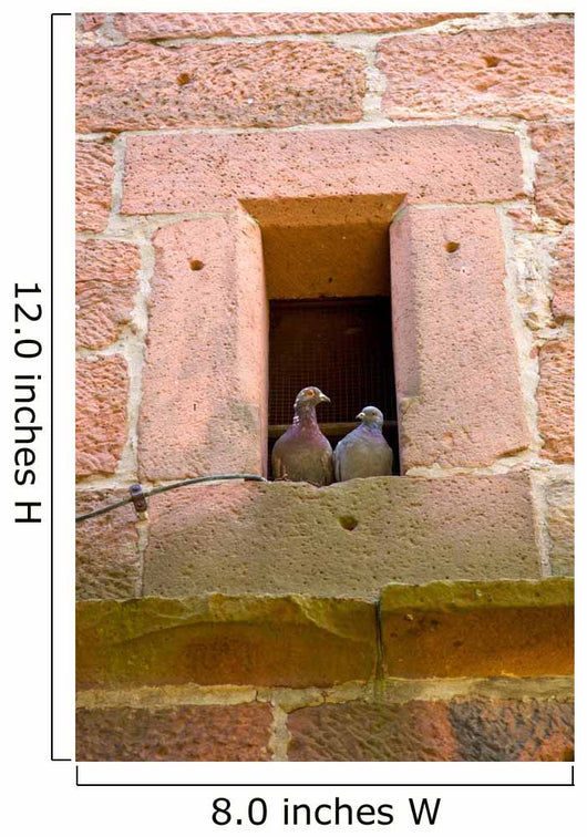 Two Doves Church Steeple