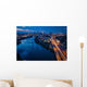 Downtown Austin Texas Night Cityscape Wall Decal